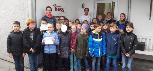 Klasse 3 zu Besuch beim Milchbauern und Metzger in Hoffenheim